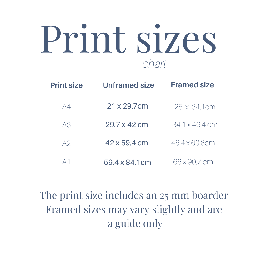 Pink Anemone 3 limited edition print